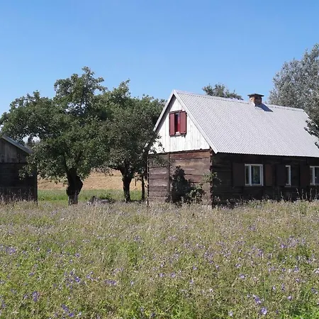 Dom Miedzy Wisla A Kampinosem Leoncin