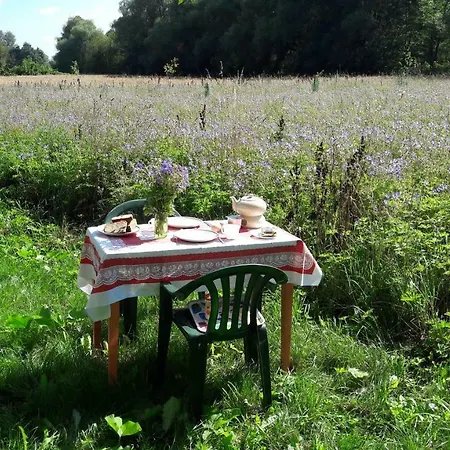 Dom Miedzy Wisla A Kampinosem
