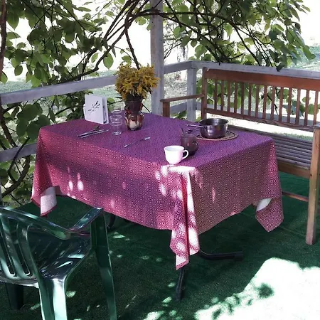 Holiday home Dom Miedzy Wisla A Kampinosem Leoncin