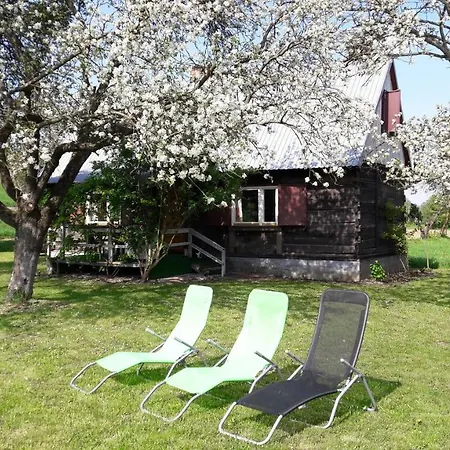 Hébergement de vacances Dom Miedzy Wisla A Kampinosem Leoncin