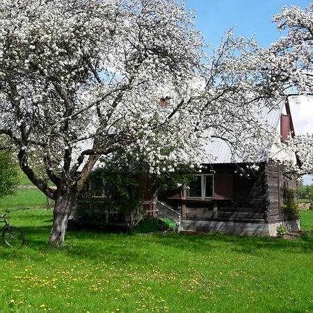 Hébergement de vacances Dom Miedzy Wisla A Kampinosem
